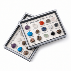 British Fossils Mini Gem Box