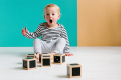 Freckled Frog Fun with Chalk! Wooden Cubes