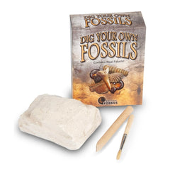 British Fossils Dig Your Own Fossils