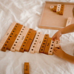 QToys 2 tone counting math set