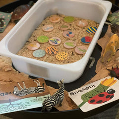 Freckled Frog Who am I? – Matching Pairs