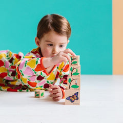 Freckled Frog Lifecycle Wooden Blocks