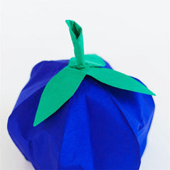 Sarah’s Silks Blueberry Hat