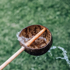 Qtoys Coconut Water Scoop