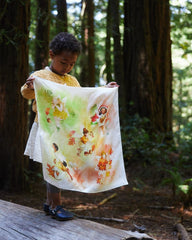 Sarah's Silks Mini Playsilks Illustrated