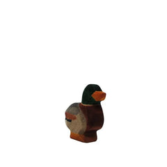 HolzWald Duck male