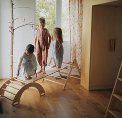 Kinderfeets Pikler Rocking & Climbing Arch