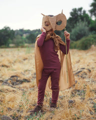 Sarah's Silks Playsilk Owl