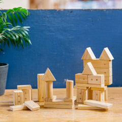 Freckled Frog Magnetic Wooden Blocks