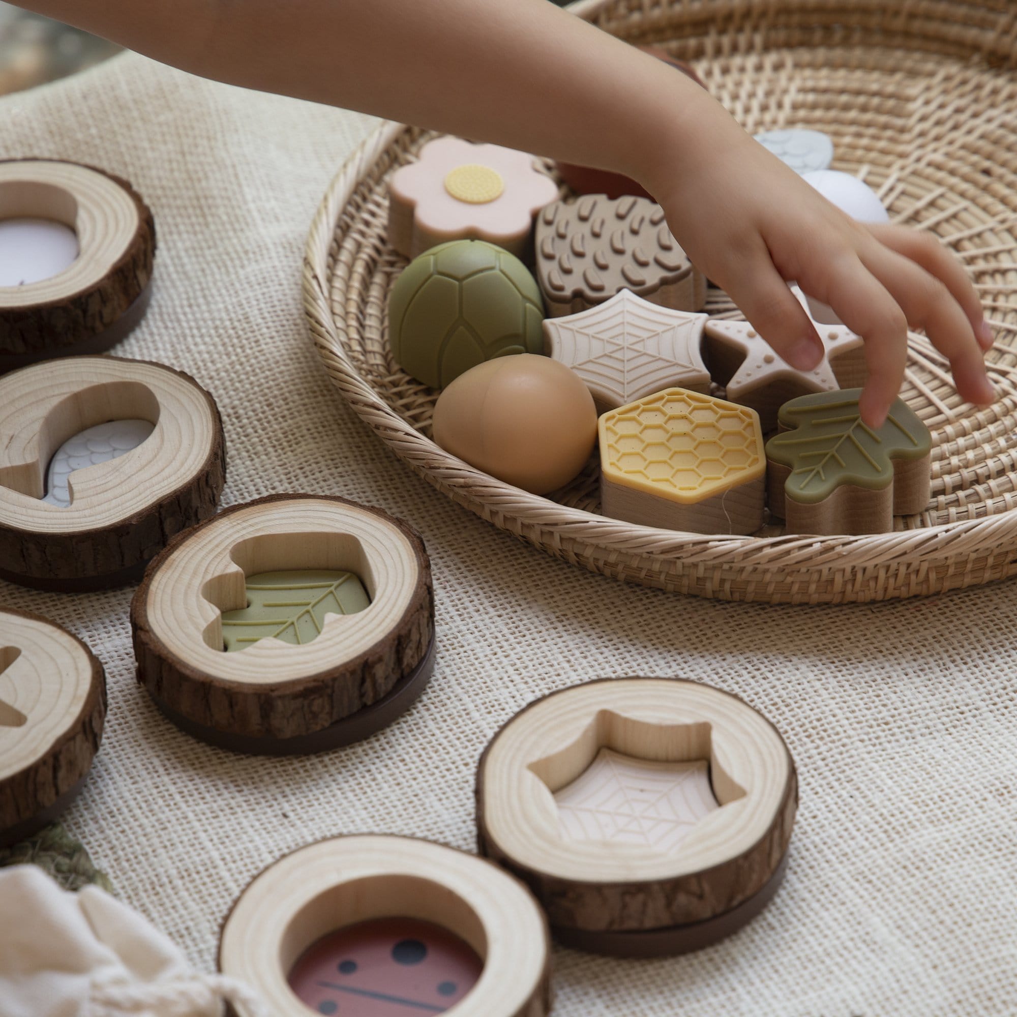 Guidecraft Nature Feel and Find – 24 pc. set