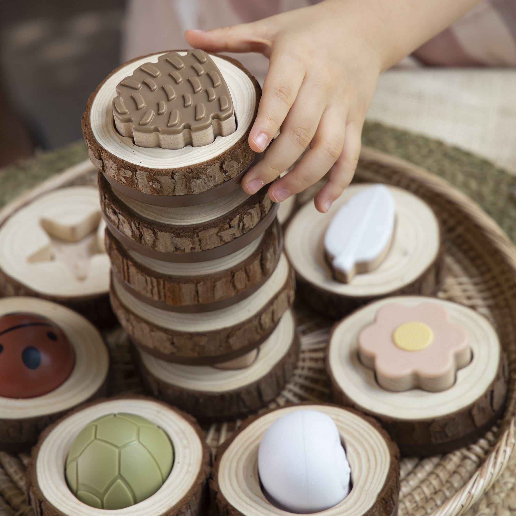 Guidecraft Nature Feel and Find – 24 pc. set