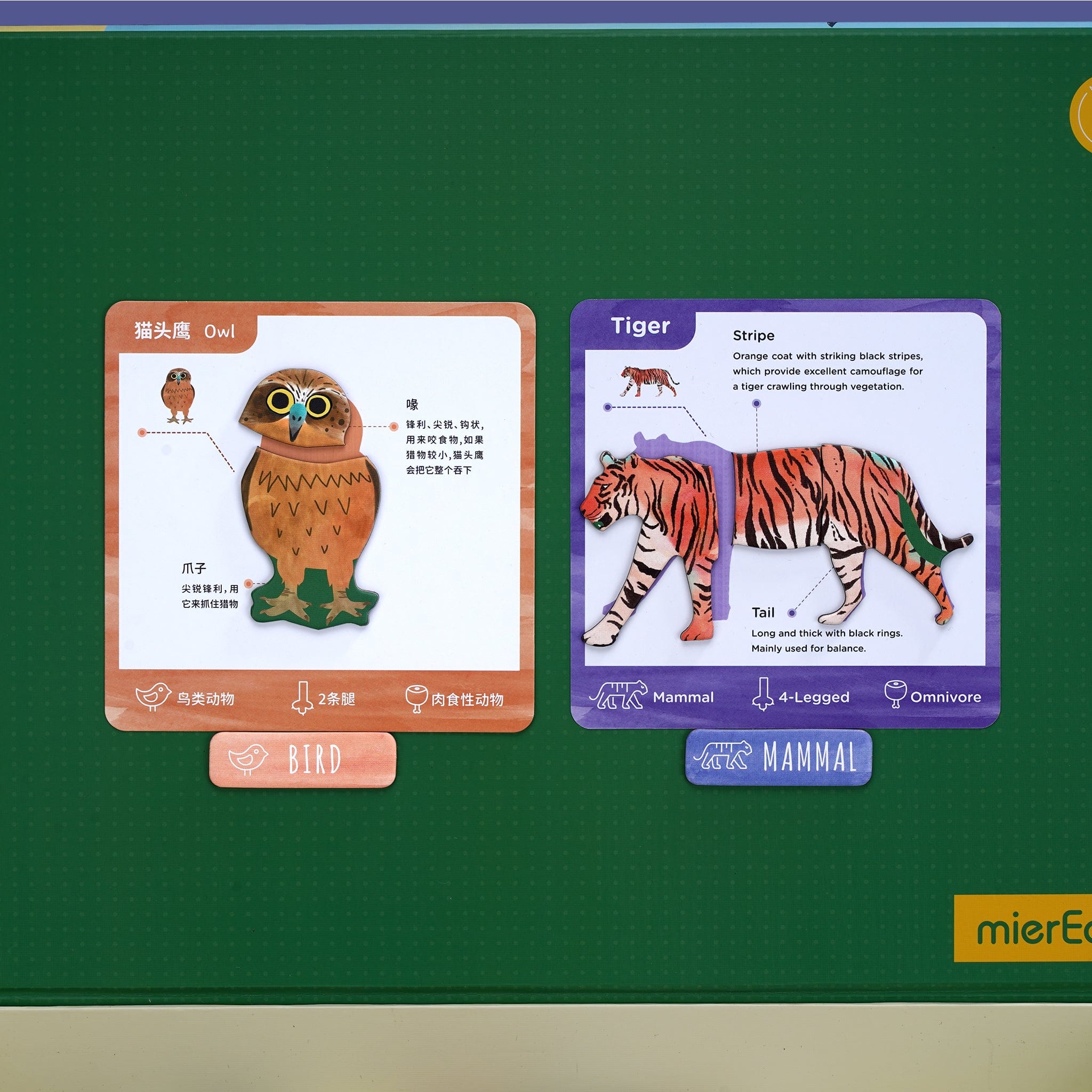mierEdu All About - Animals Magnetic