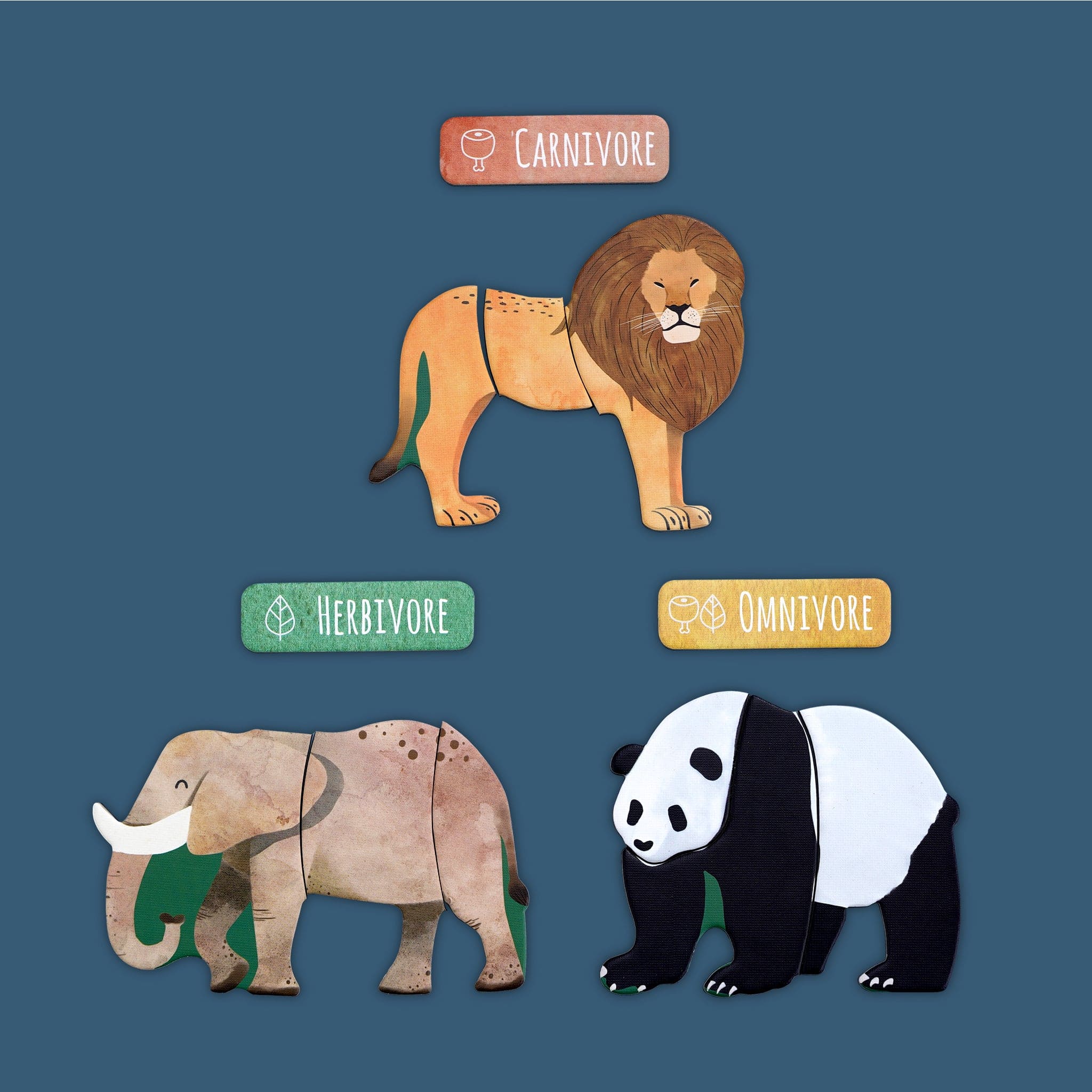 mierEdu All About - Animals Magnetic