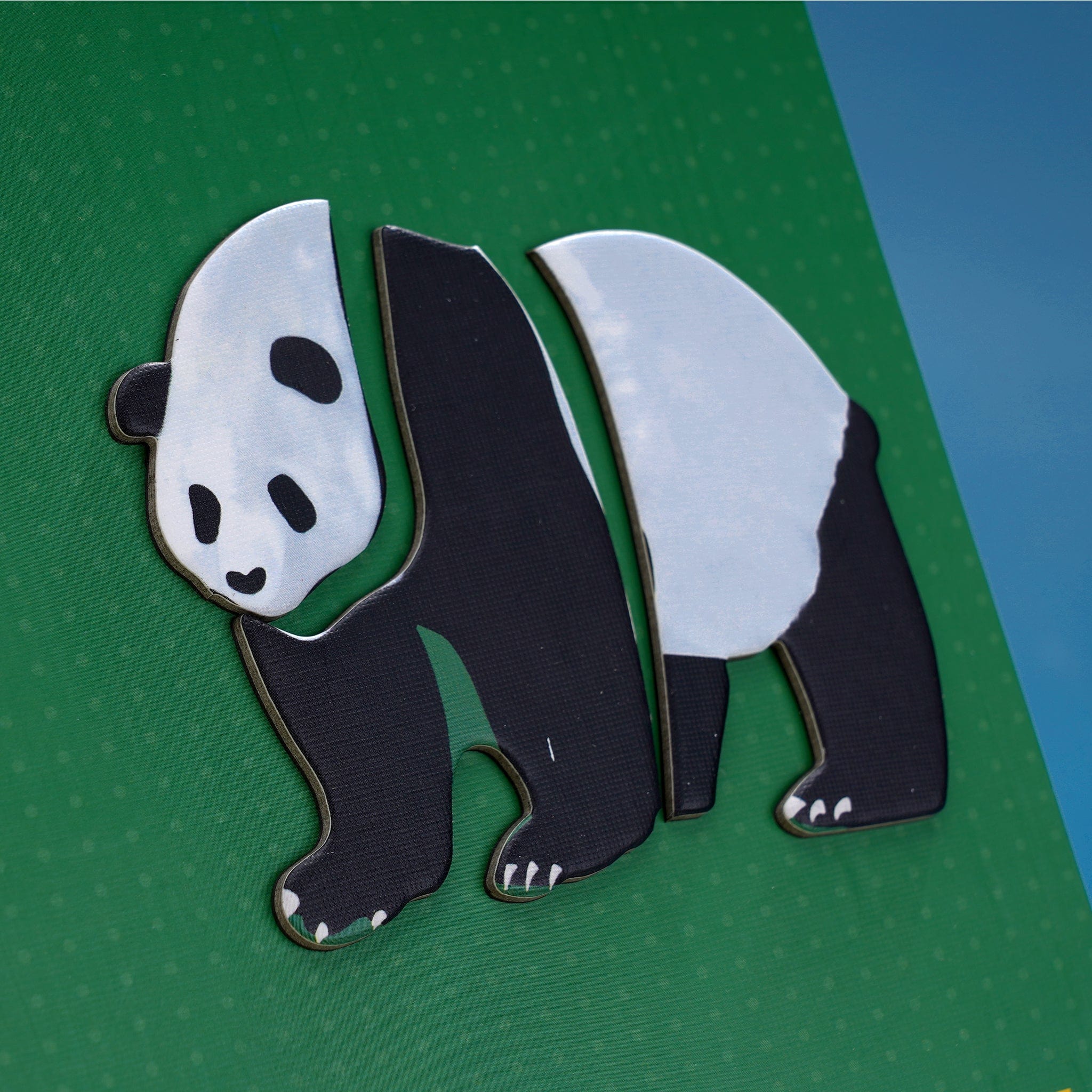 mierEdu All About - Animals Magnetic