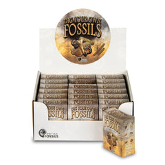 British Fossils Dig Your Own Fossils