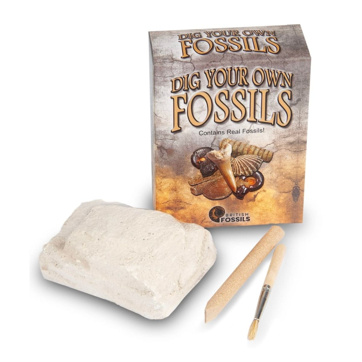 British Fossils Dig Your Own Fossils