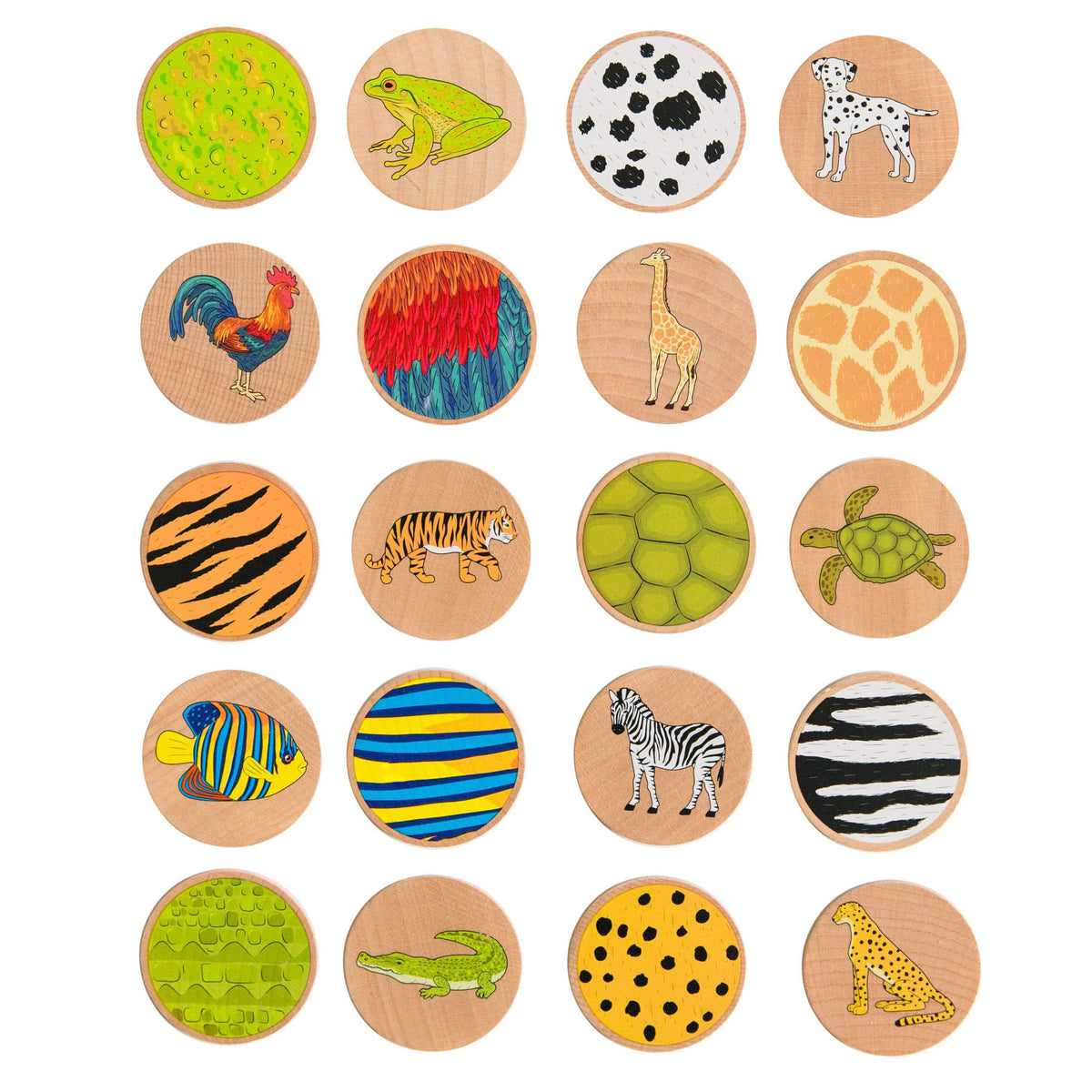 Freckled Frog Who am I? – Matching Pairs