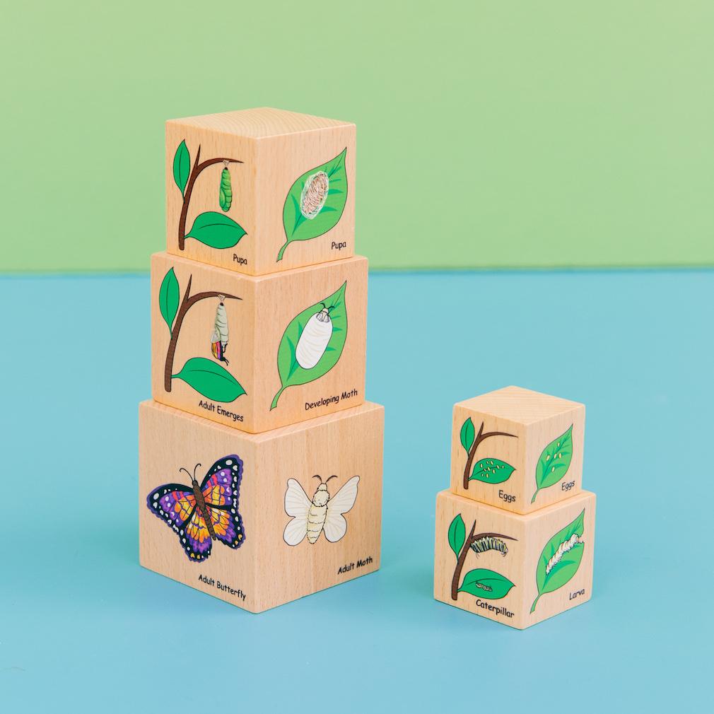 Freckled Frog Lifecycle Wooden Blocks