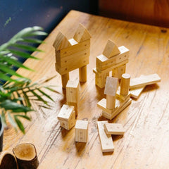 Freckled Frog Magnetic Wooden Blocks