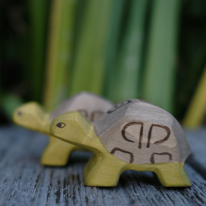 HolzWald Schildkröte klein