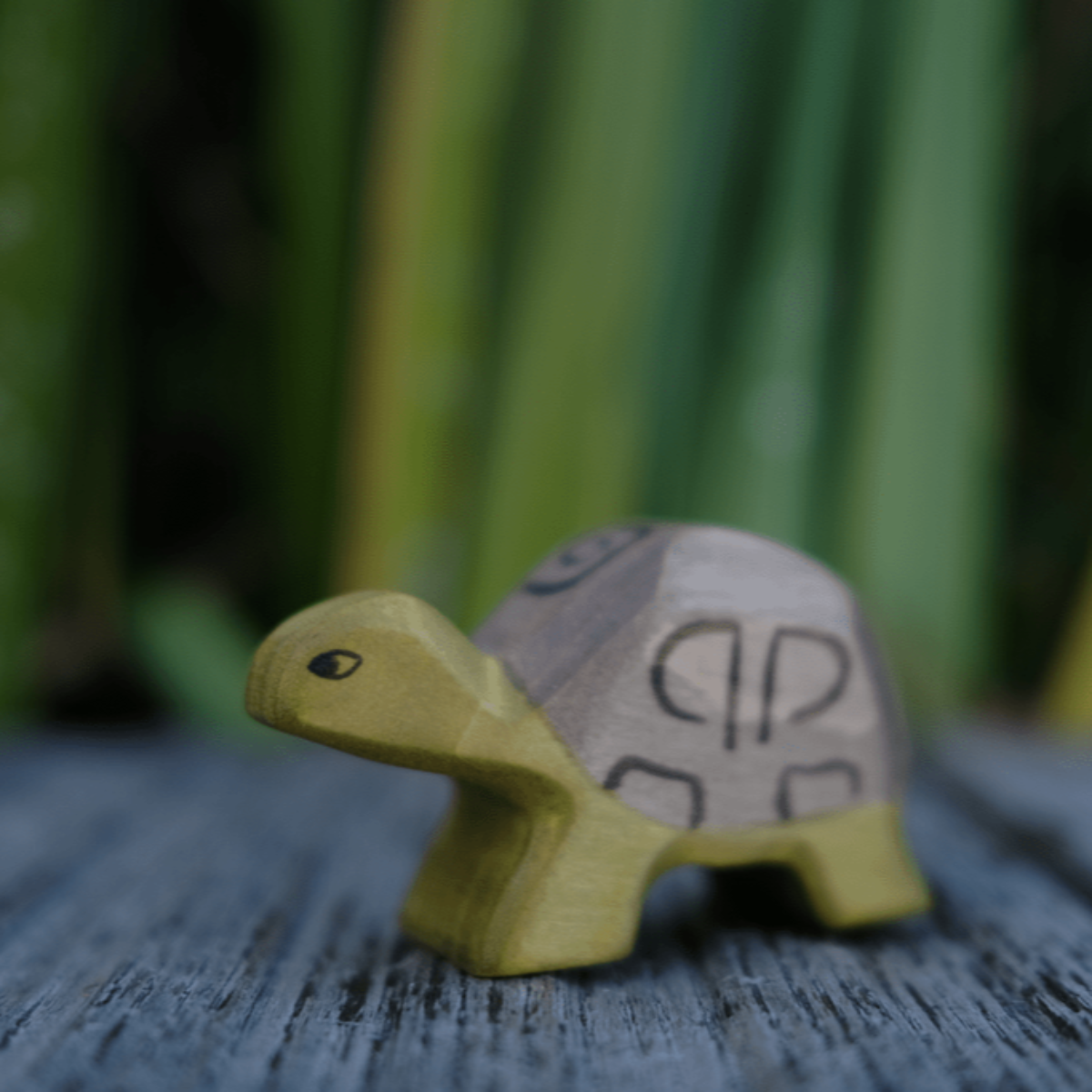 HolzWald Schildkröte klein