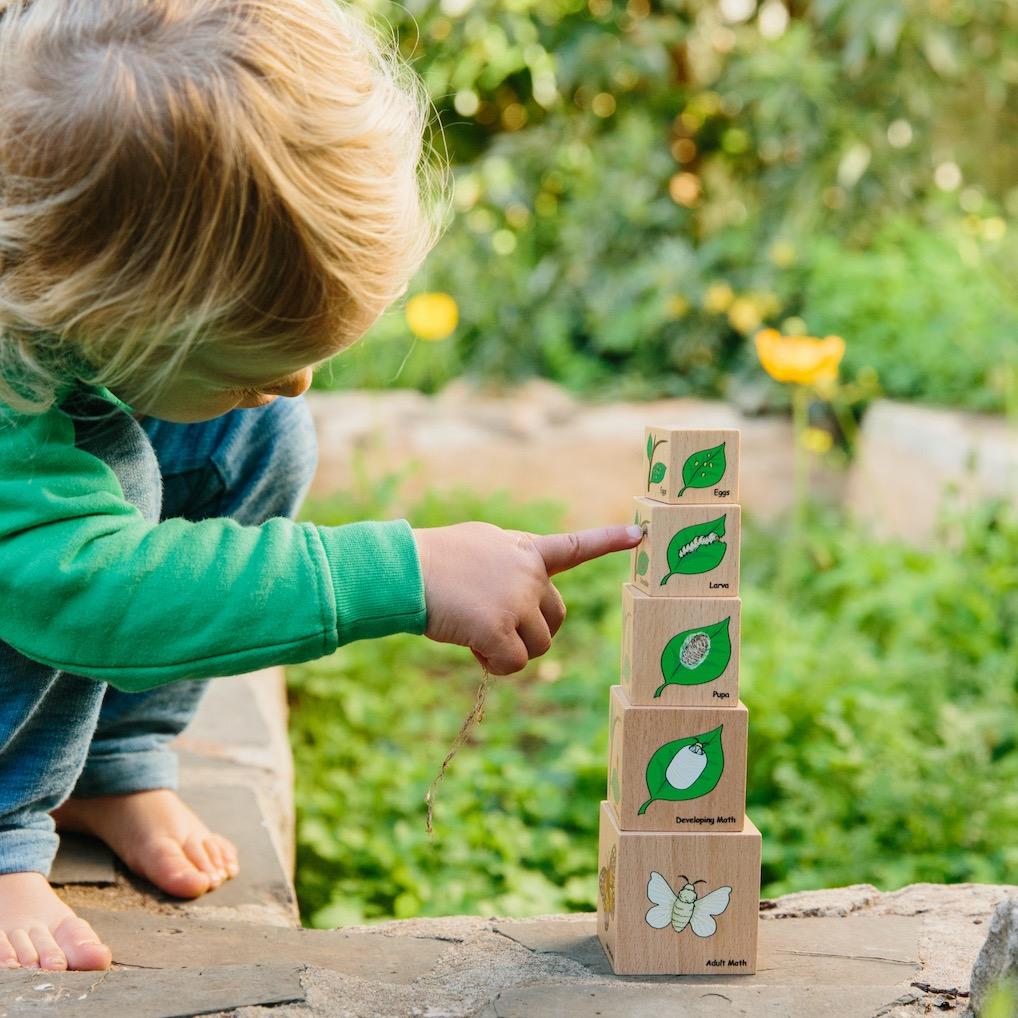 Freckled Frog Lifecycle Wooden Blocks