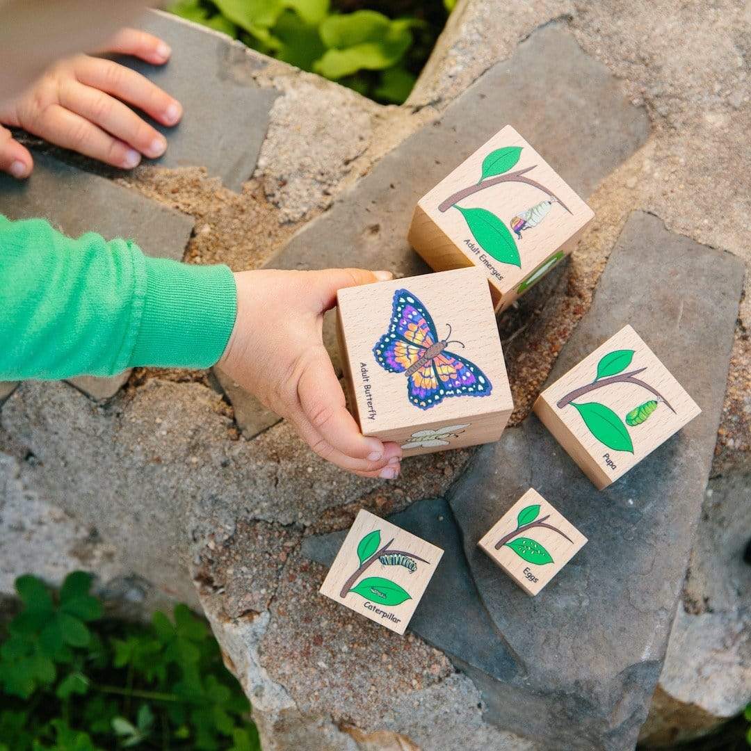 Freckled Frog Lifecycle Wooden Blocks