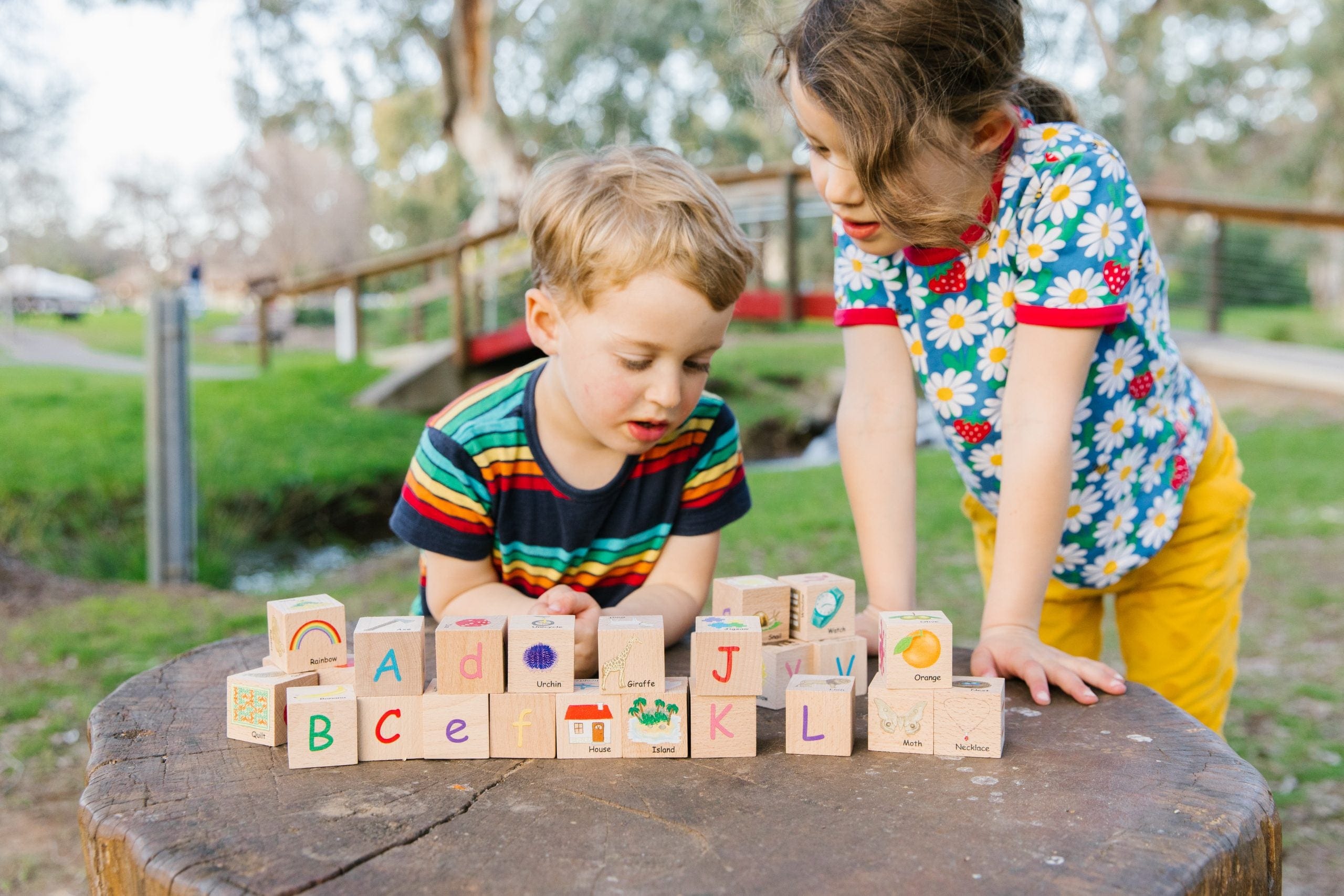 The Freckled Frog ABC Blocks