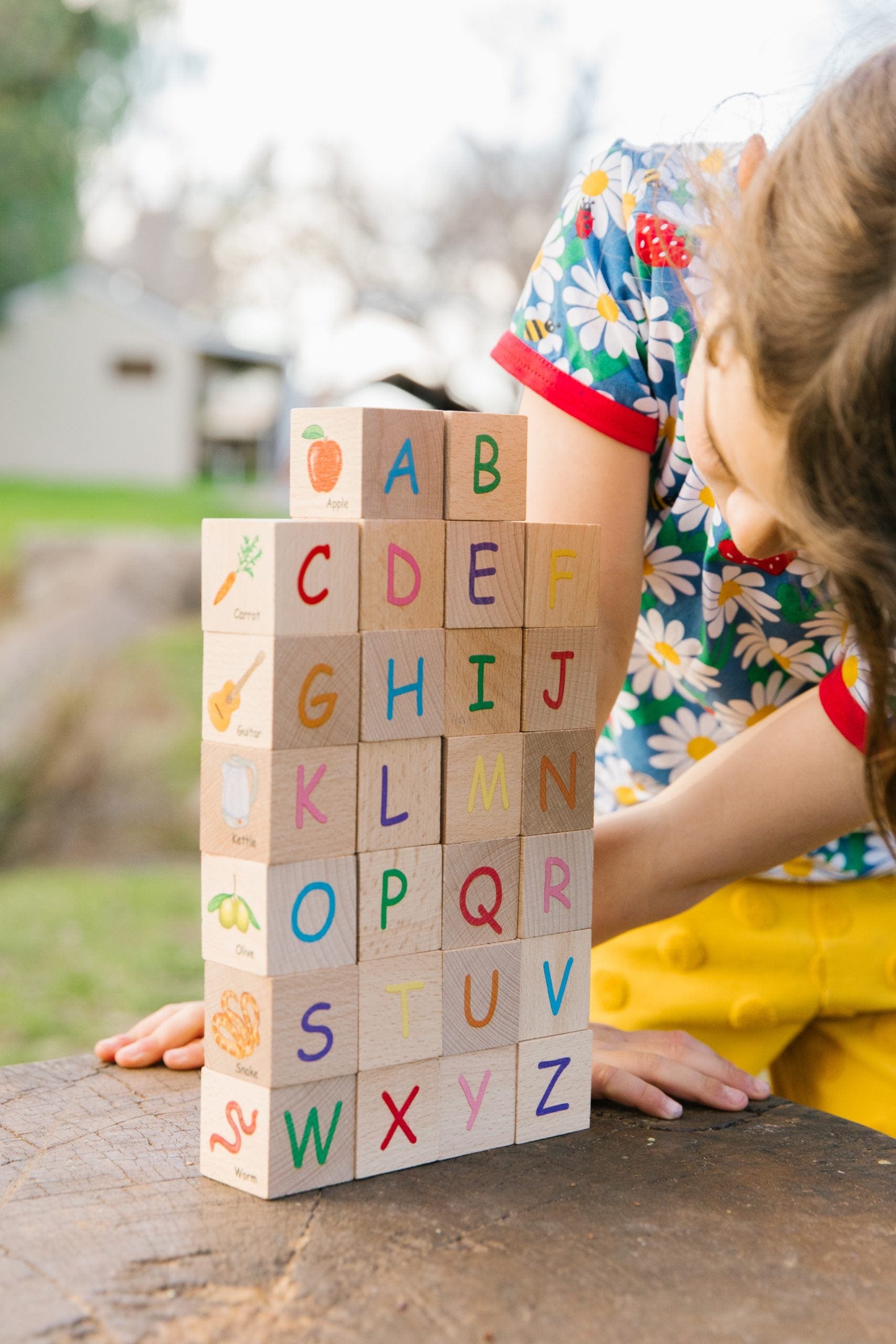 The Freckled Frog ABC Blocks