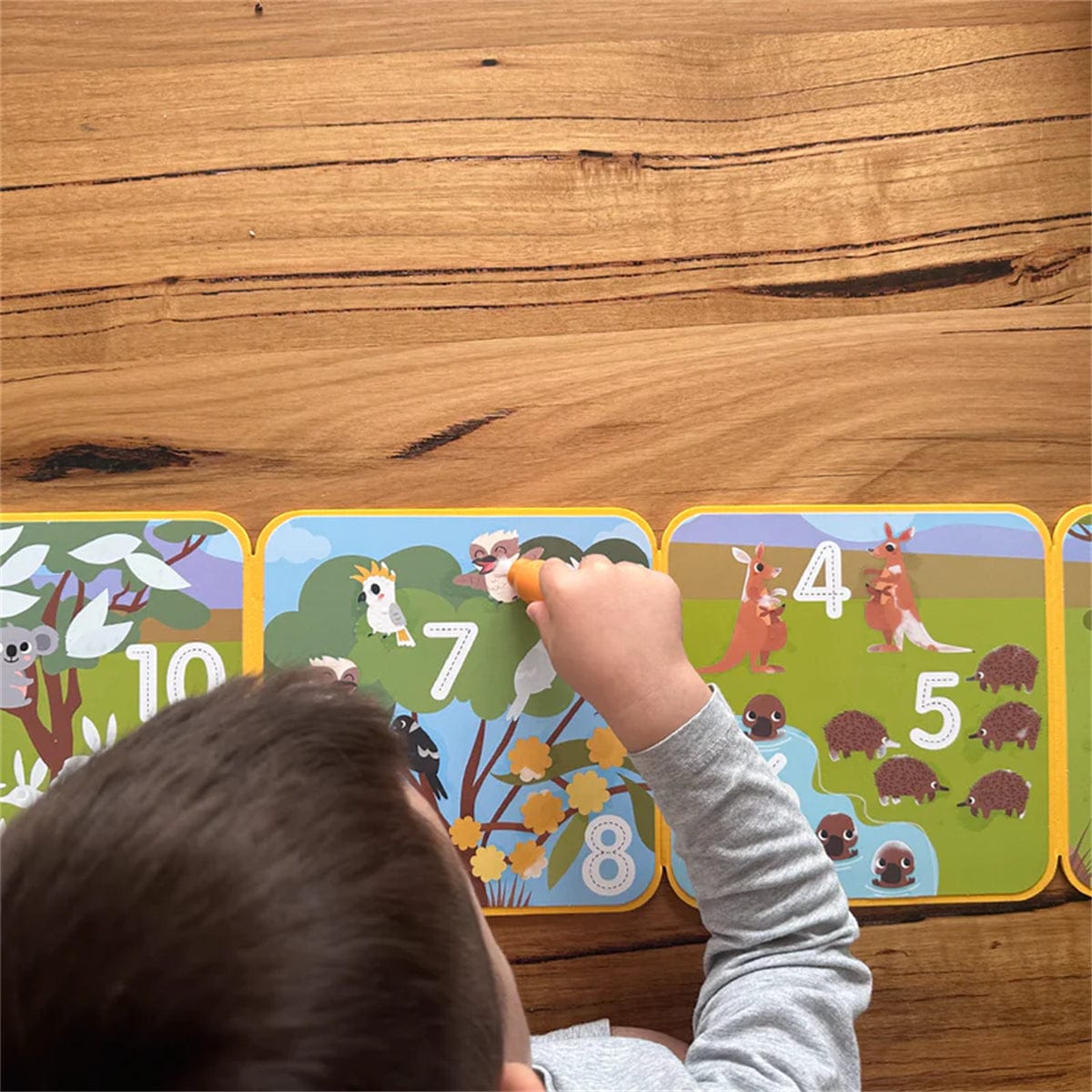 My Creative Box Aussie Animals Magic Water Painting Set