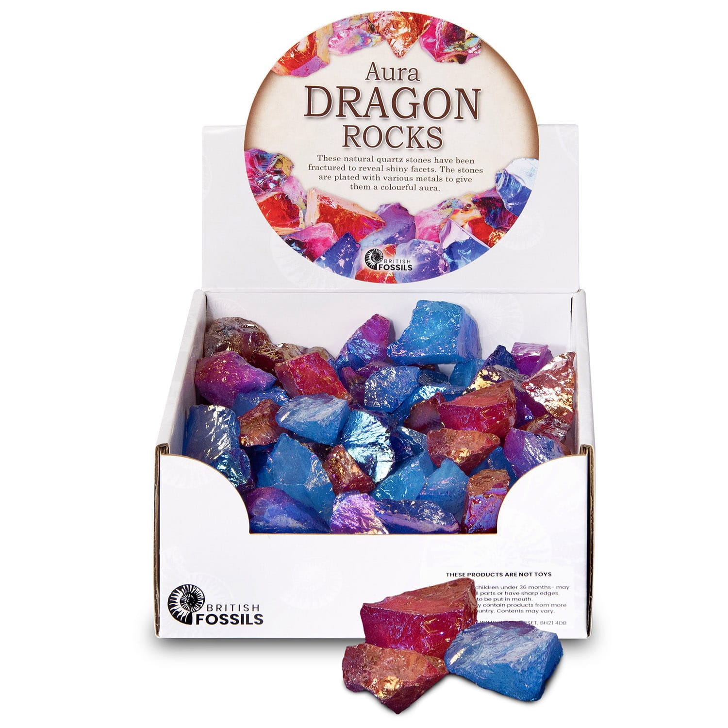 British Fossils Dragon Rocks (Single Stone)