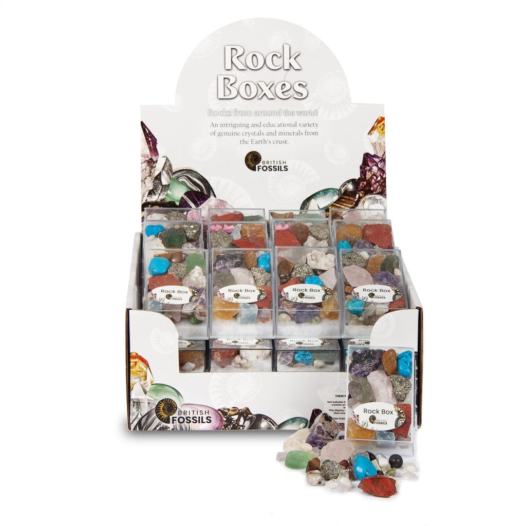 British Fossils Rock Box