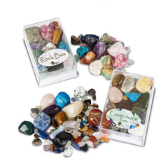 British Fossils Rock Box