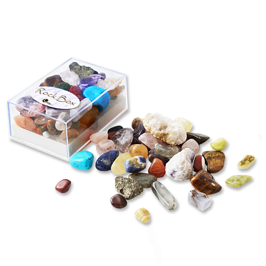 British Fossils Rock Box