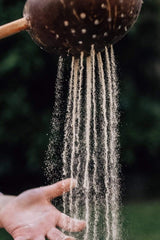 Qtoys Coconut Sand Scoop