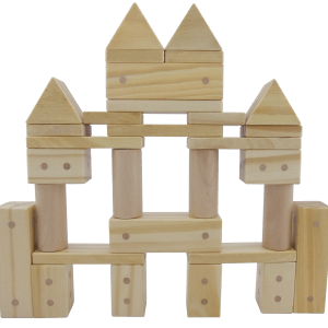 Freckled Frog Magnetic Wooden Blocks