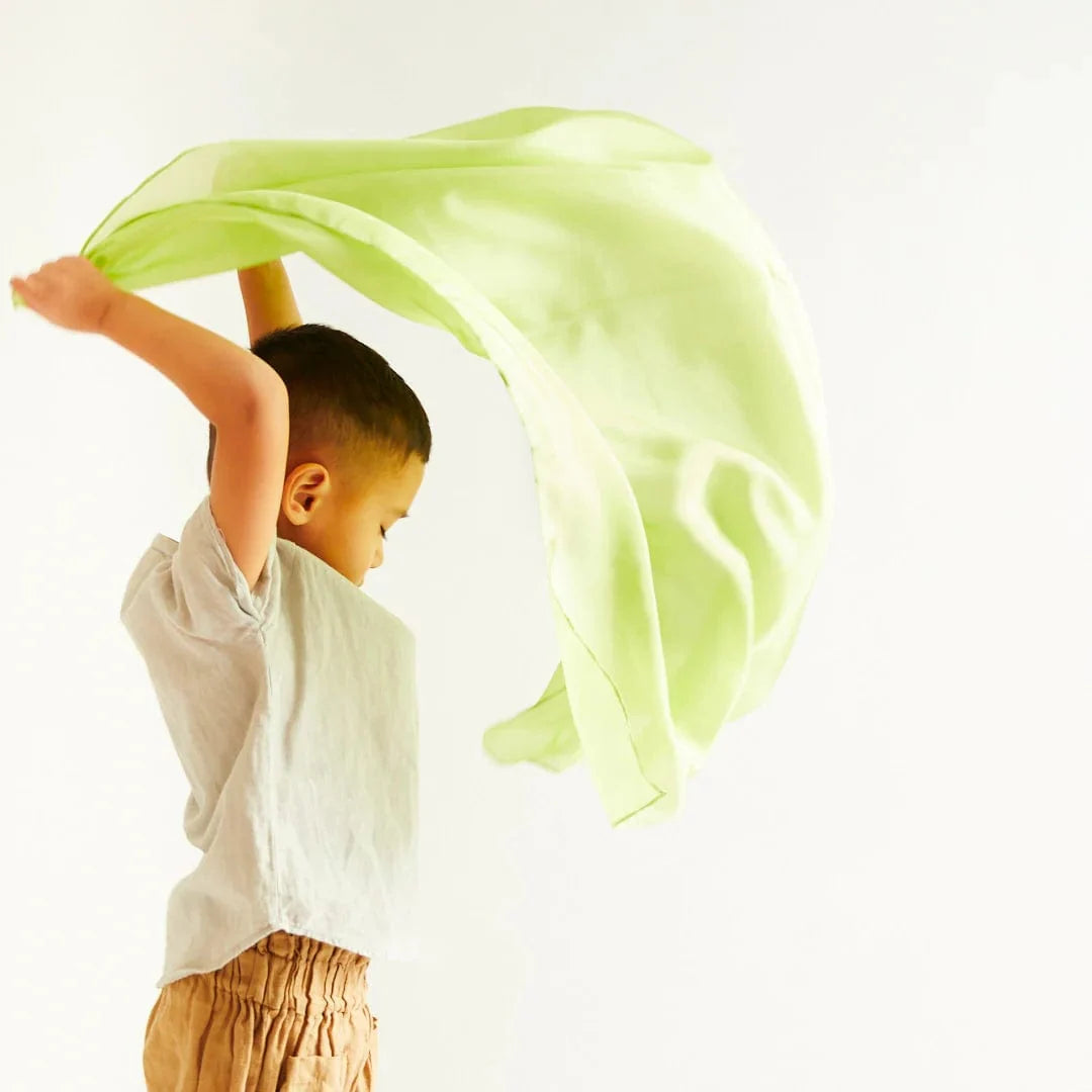 Sarah’s Silks Parrot Playsilk