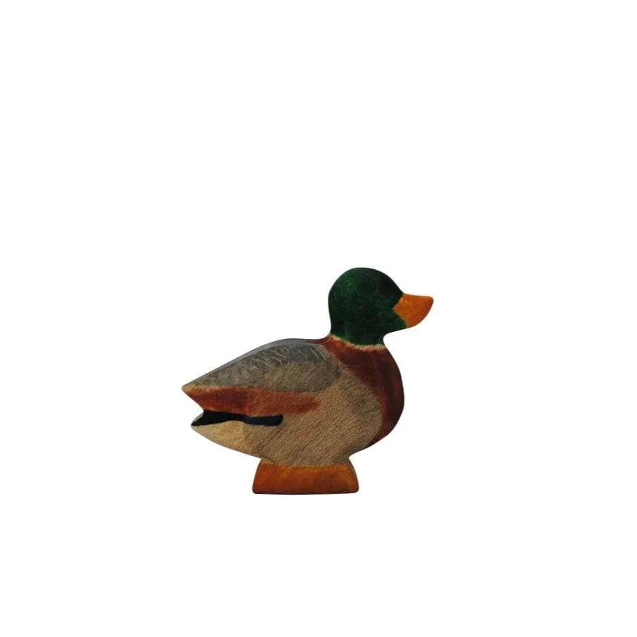 HolzWald Duck male