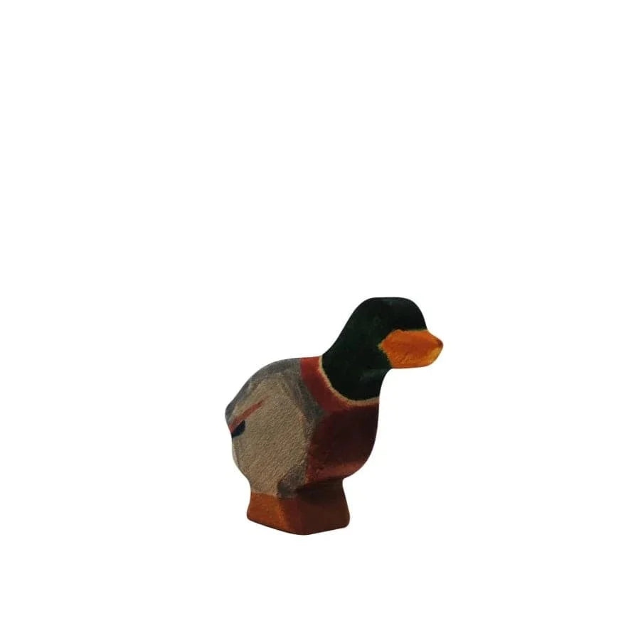 HolzWald Duck male stretched