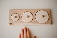QToys 3 Circle Puzzle