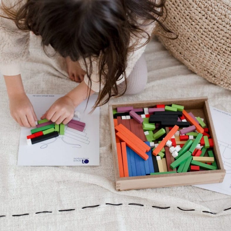 QToys Cuisenaire Learning Rods