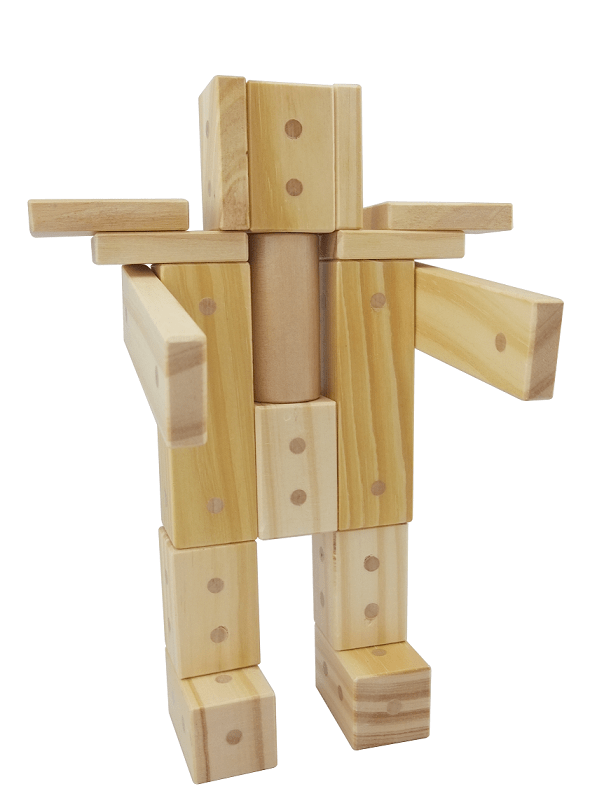 Freckled Frog Magnetic Wooden Blocks
