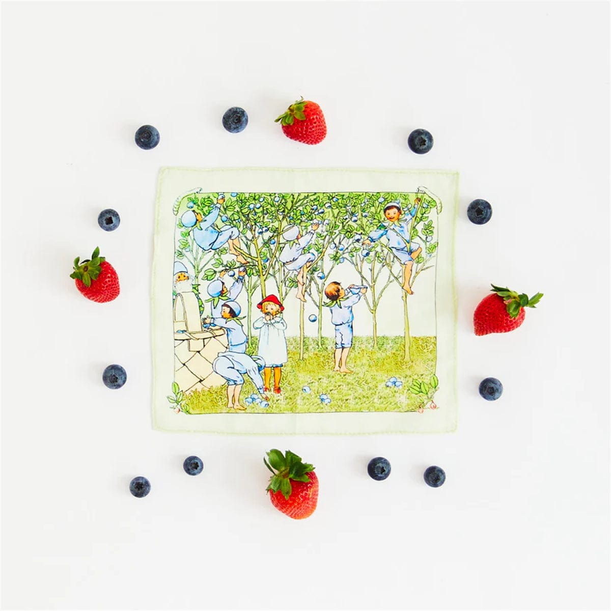 Sarah’s Silks Mini Mini Blueberry Children Seek & Find