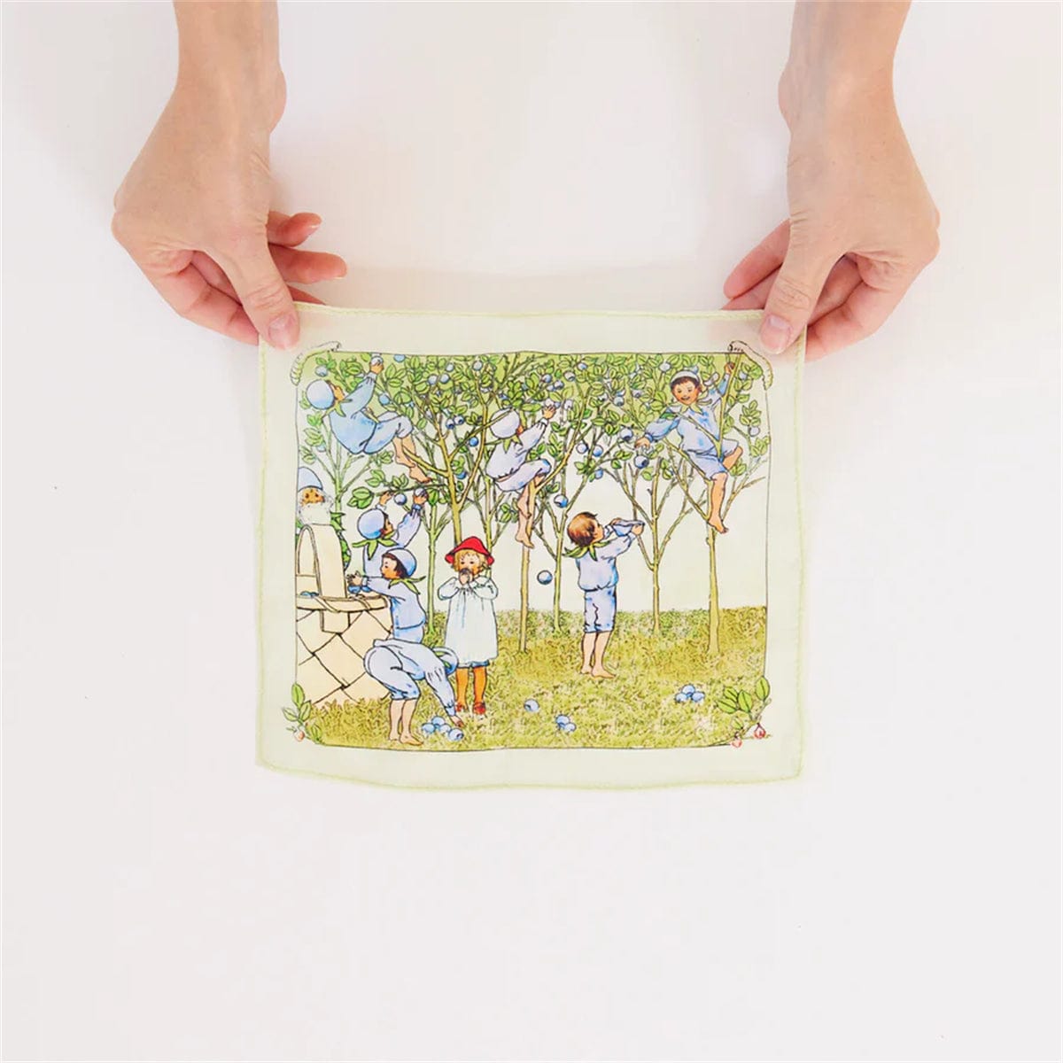 Sarah’s Silks Mini Mini Blueberry Children Seek & Find