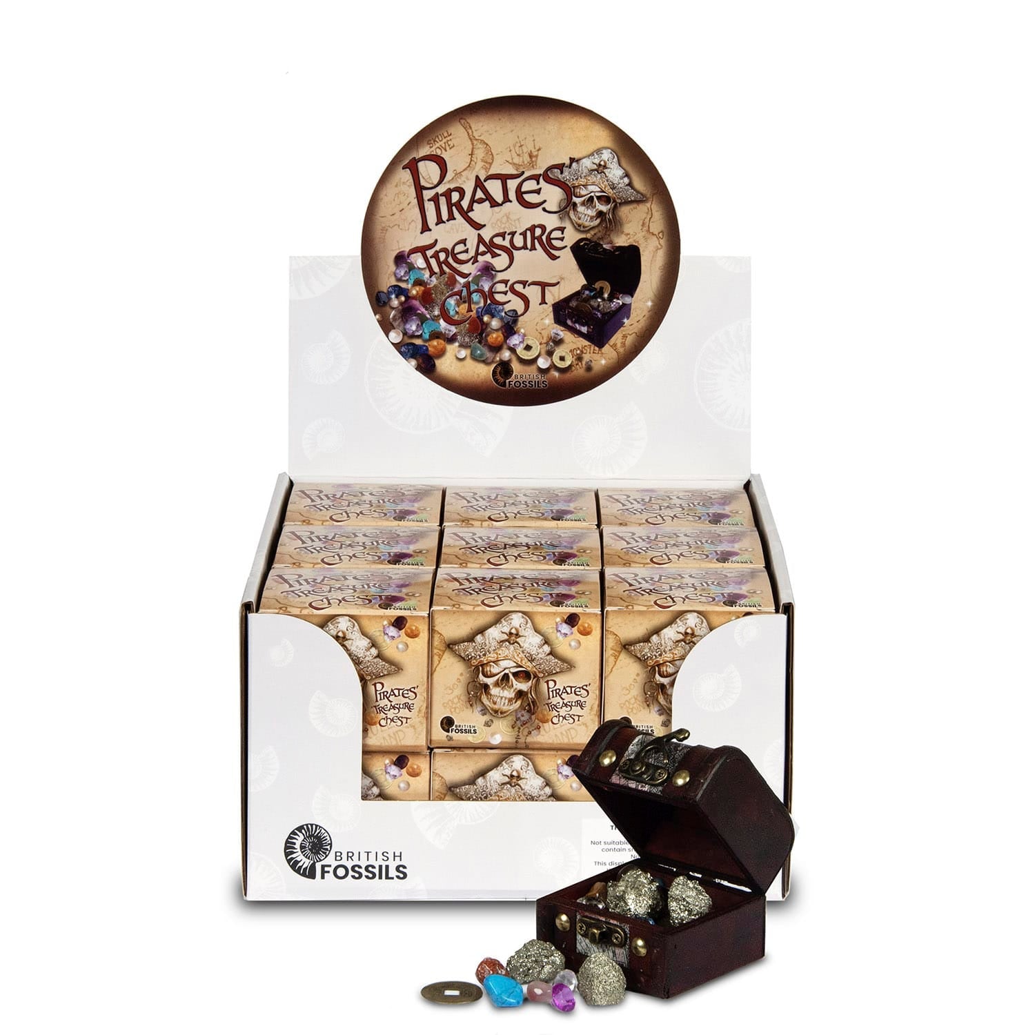 British Fossils Pirate Treasure Chest