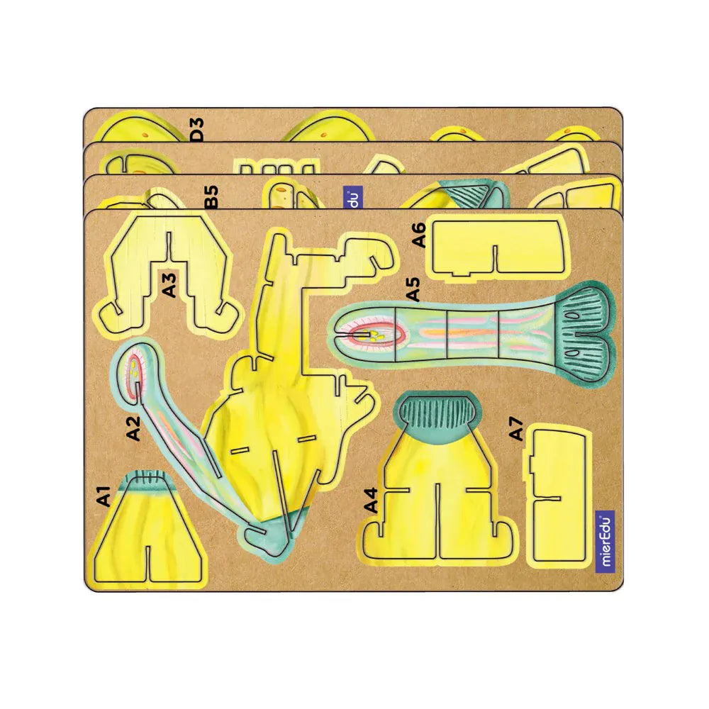 mierEdu Build 'n' Sound 3D Puzzle - Parasaurolophus