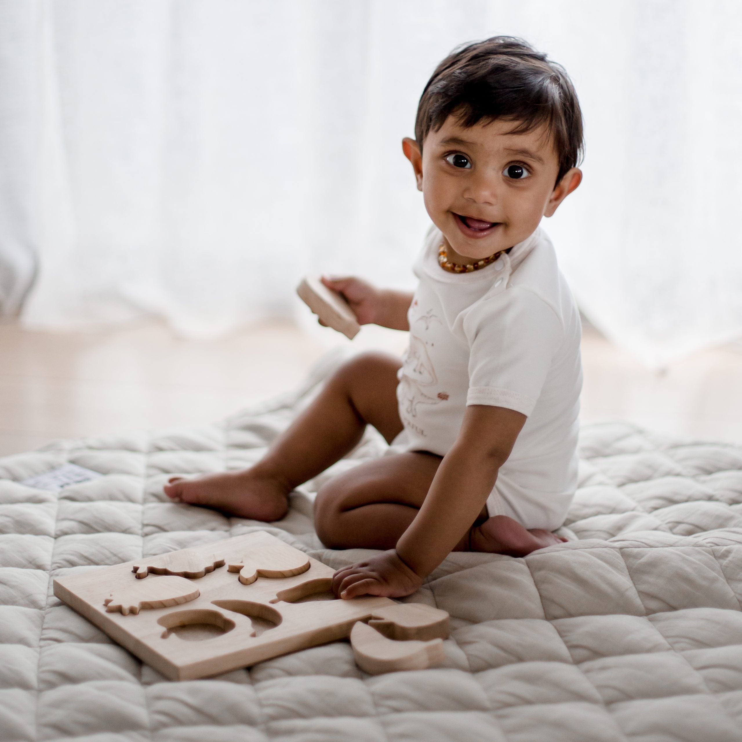 QToys Fruit Puzzle