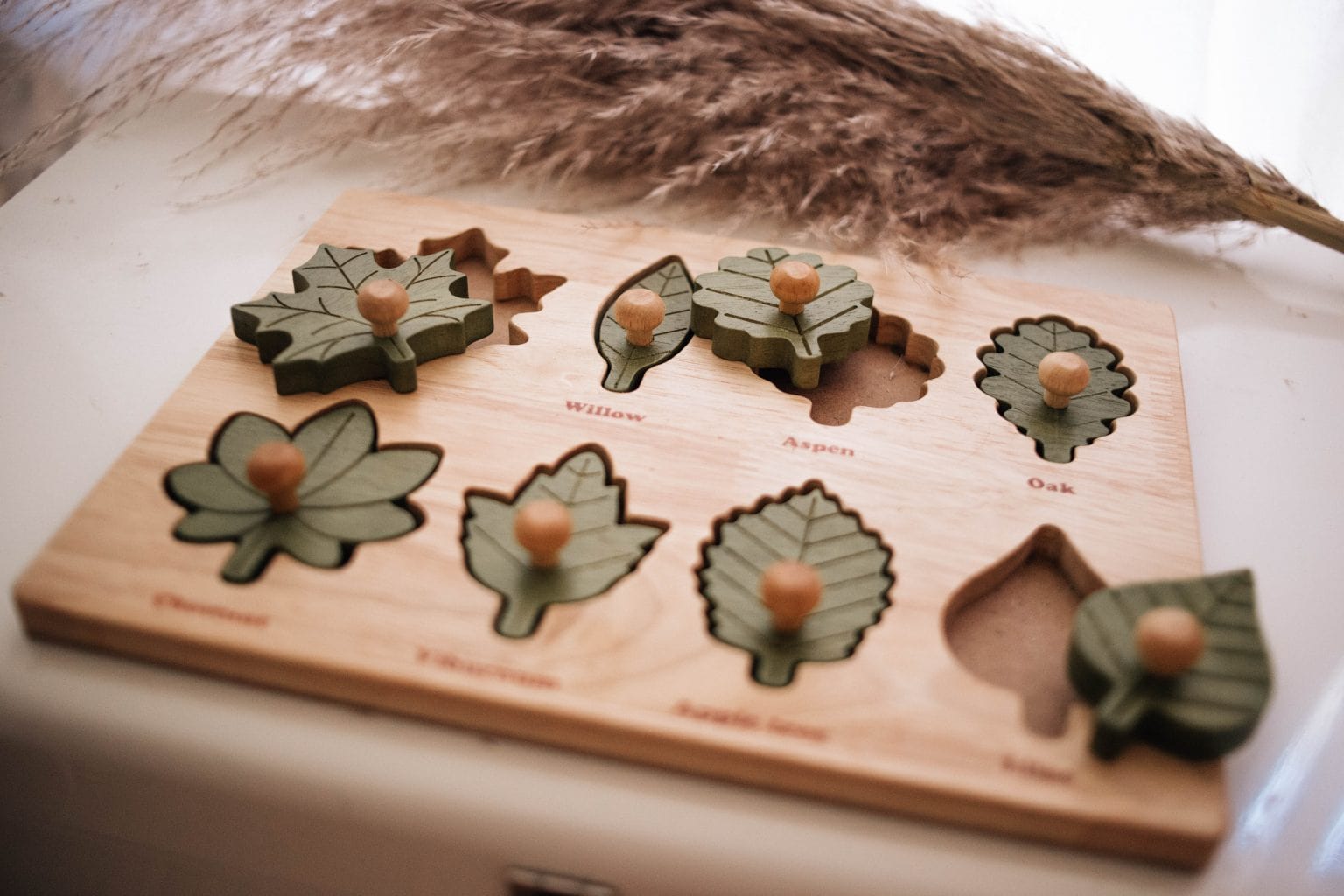 QToys Montessori Leaf Puzzle