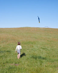 Sarah's Silks Skytails (Shooting Star)