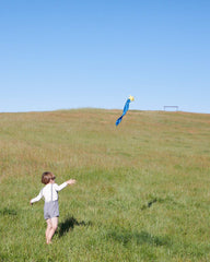 Sarah's Silks Skytails (Shooting Star)